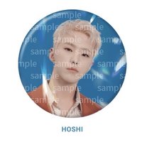 BE THE SUN 日巡 徽章 