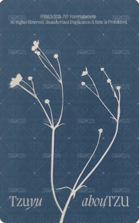 aboutTzu  jyp Set 2.0 特典卡  背面