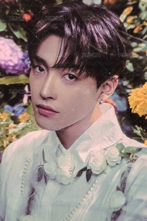 GH2 專輯卡 POCA TO ver. QR 正面