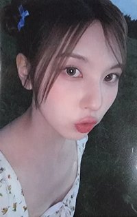 仲夏夜 ms 線上 1.0 簽售卡 