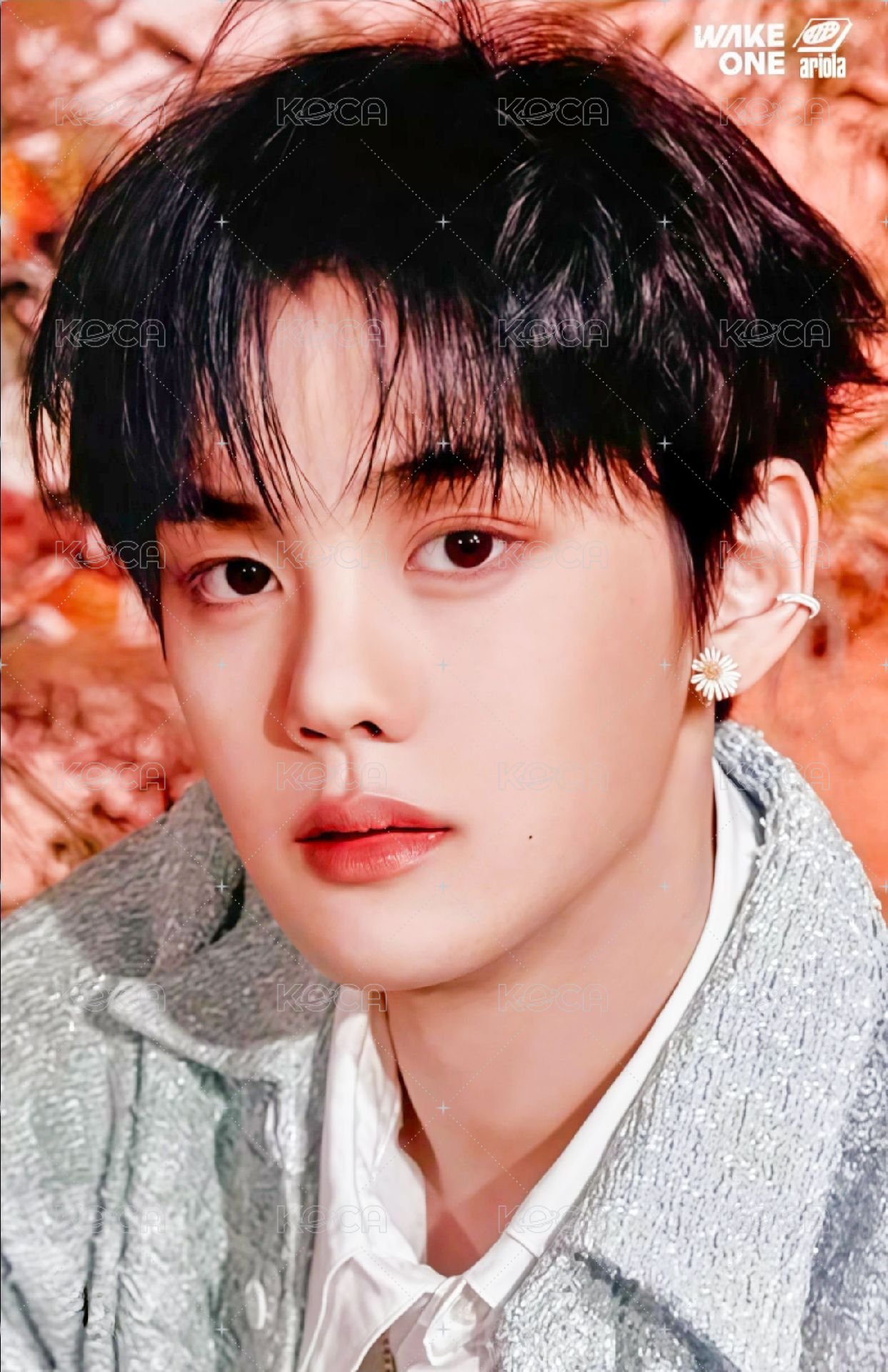 日專 塔店 特典卡 官拍 正面