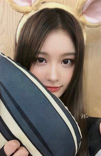 仲夏夜 ms 簽售卡 7.0 倉鼠薛