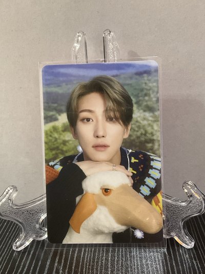 Seventeen 八 D社小卡一套缺一