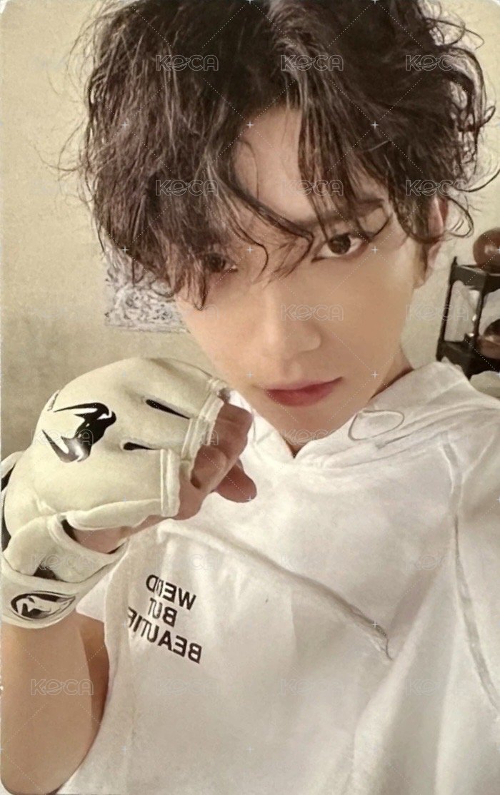 MINI10 專輯卡 WVS電子專ver 正面