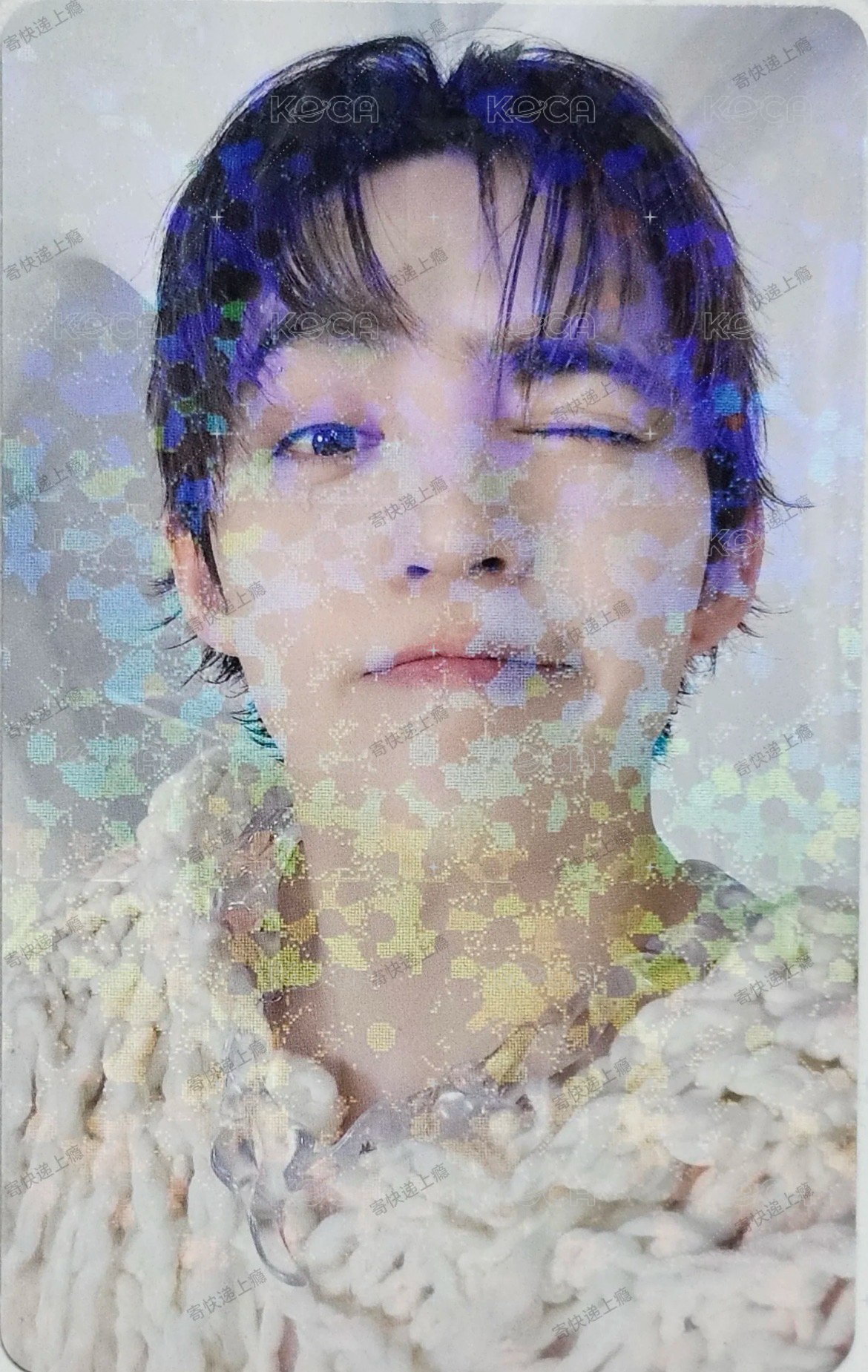 正五 日咖 WVSJP PB預售 特典卡  正面