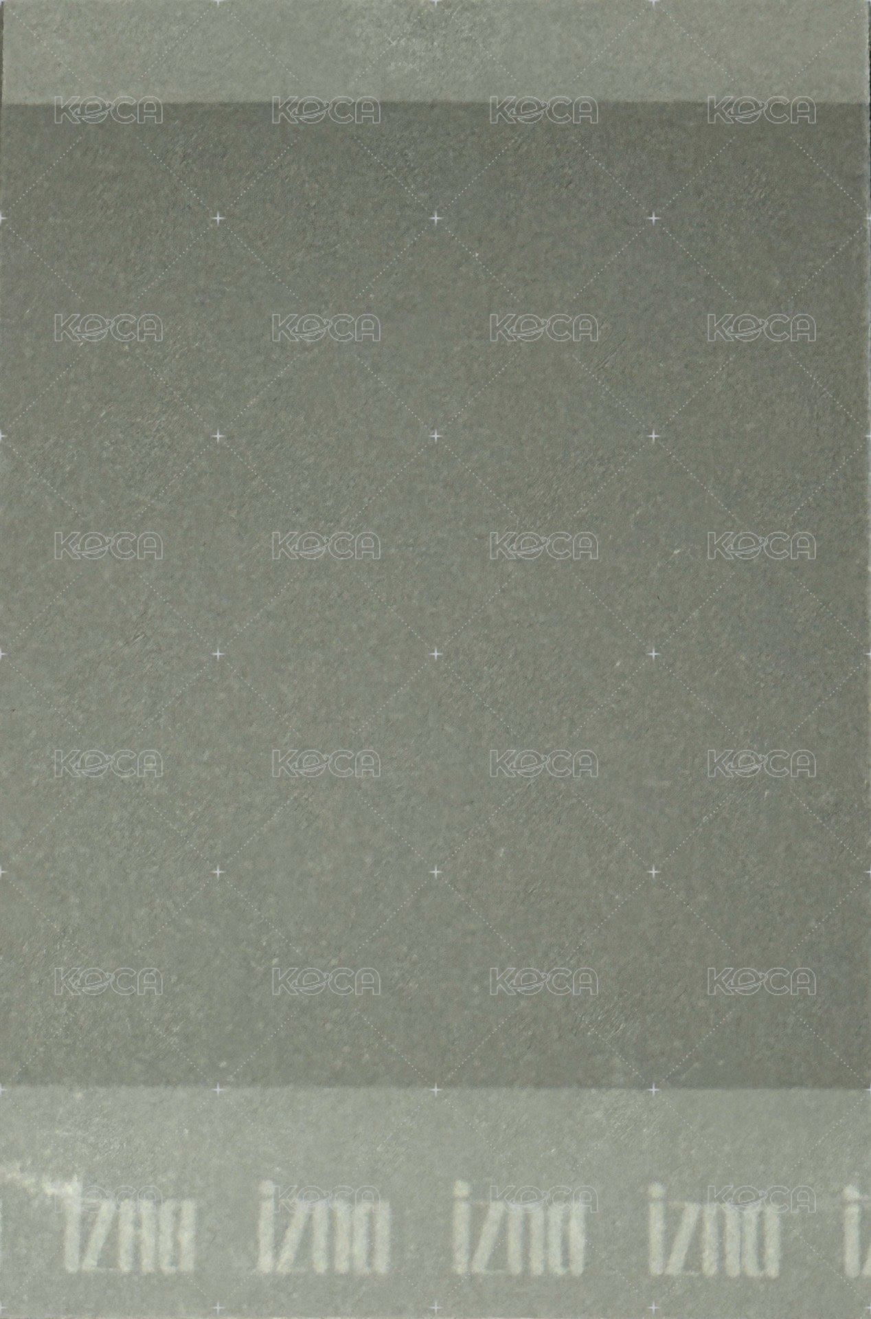 迷一 專輯卡 na版 背面