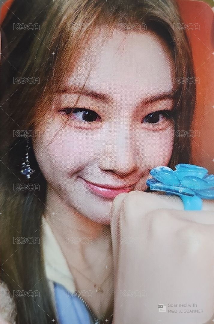 單一 wm 特典卡  正面