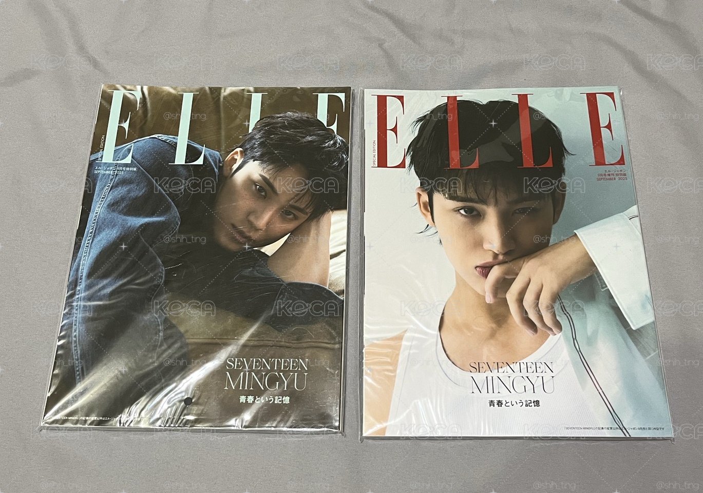 奎雜誌