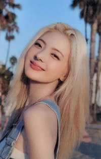 2024年曆 周邊卡 袋子