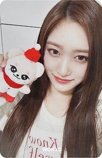 聖誕 周邊卡 聖誕瑞娃小卡
