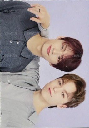 20蛋巡 隨機卡 俊率 正面