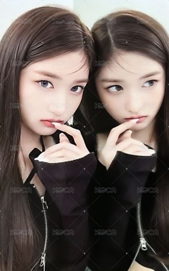 ELEVEN 船特 特典卡  正面