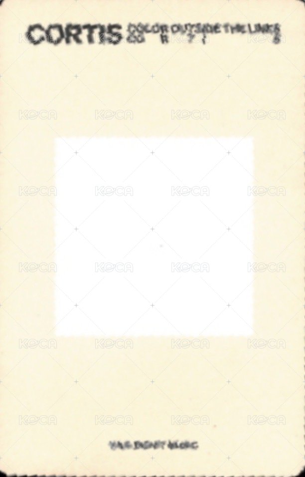 迷一 專輯卡 電子專 A ver. 背面