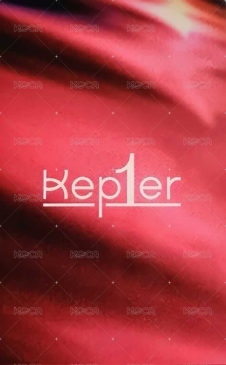 迷一 wd 簽售卡  背面