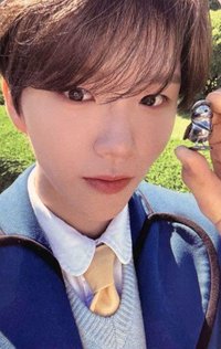 Songbird k4 預售 特典卡 