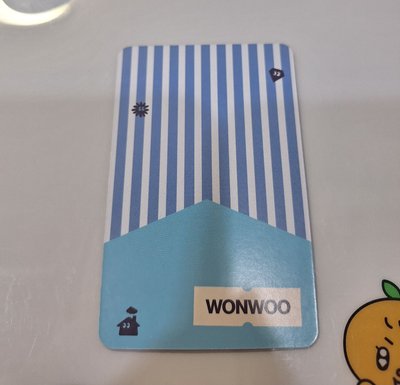 nana bnb wonwoo