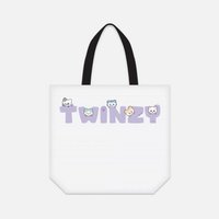 2025 FM 背包袋子 TWINZY 袋子