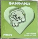 MINIVE PARK 快閃店 鑰匙圈吊飾 壓克力吊飾GANGANJI