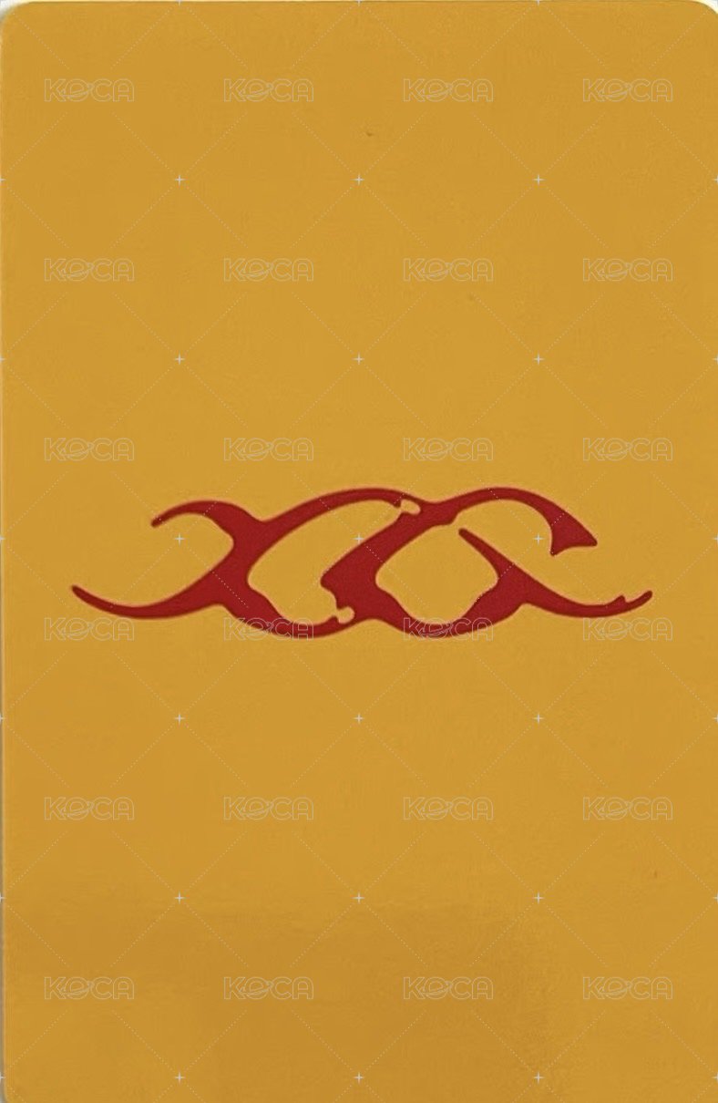 NEW DNA 塔店 特典卡 G版 背面