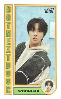 WHO! 專輯卡 介紹卡