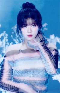 JP正規五 專輯卡 通常盤