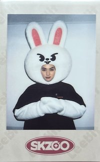 1st FM 周邊卡 拍立得