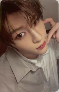 Steady 隨機卡 B版