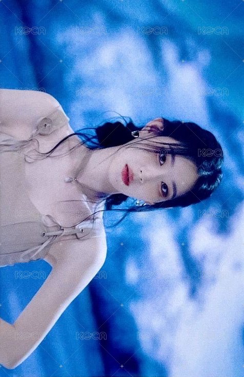 CHESHIRE 阿拉丁 預售 特典卡  正面