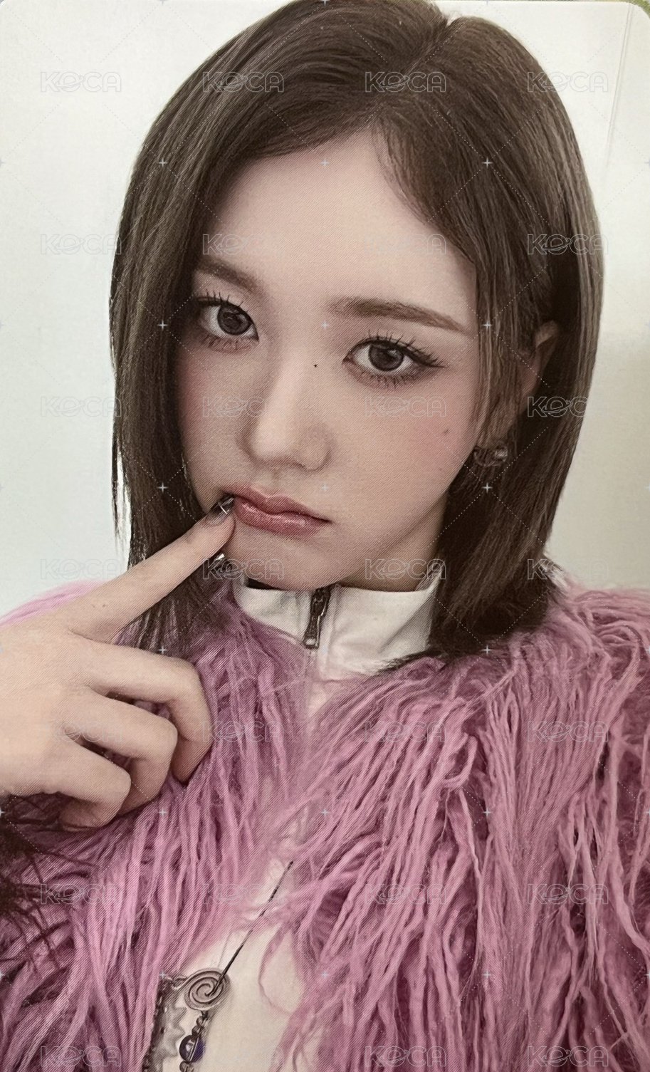 S wvs 特典卡  正面