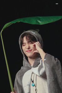 찬이