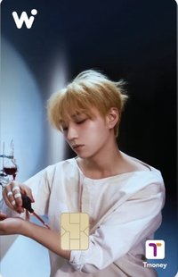 WOWPASS官方限量聯名卡 交通卡 