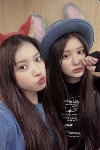 仲夏夜 ms 7.0 簽售卡 動物方城市 薛友雙人