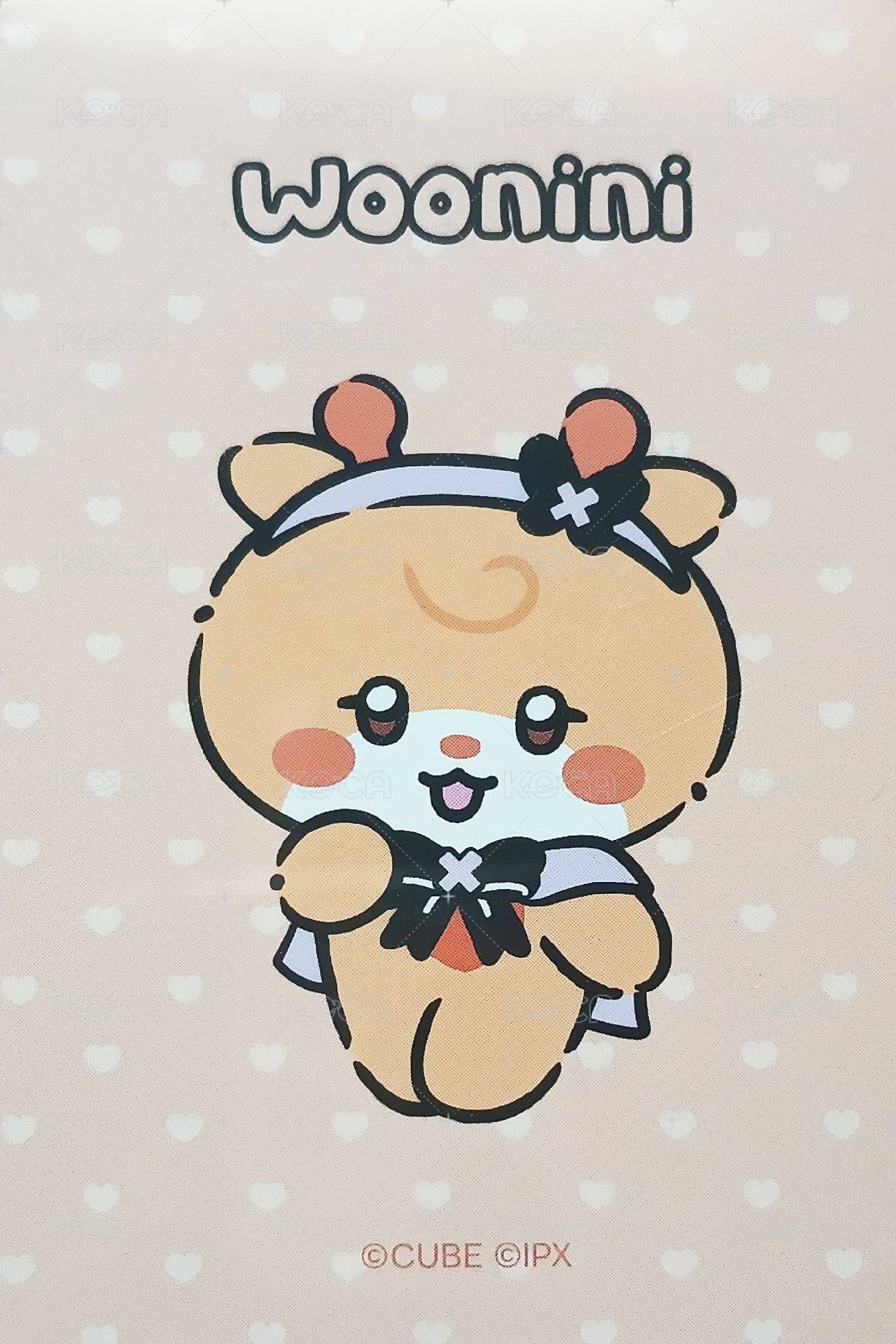 We are cube 周邊卡 娃娃卡 背面