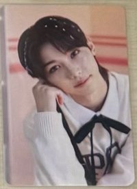 黃版菲（不可單帶/需綁）