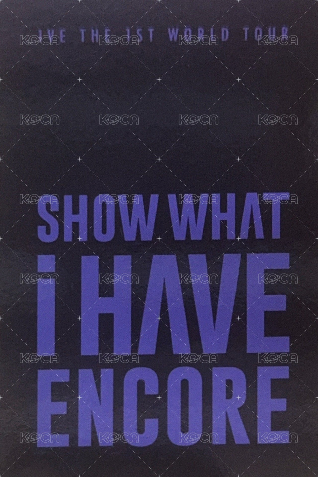 SHOW WHAT I HAVE 船特 特典卡 ENCORE DVD / KIT  背面