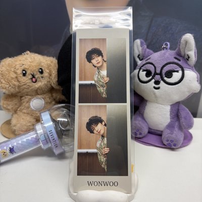 🐈‍⬛圓佑WONWOO｜24’克拉島｜人生四格卡｜兩宮格