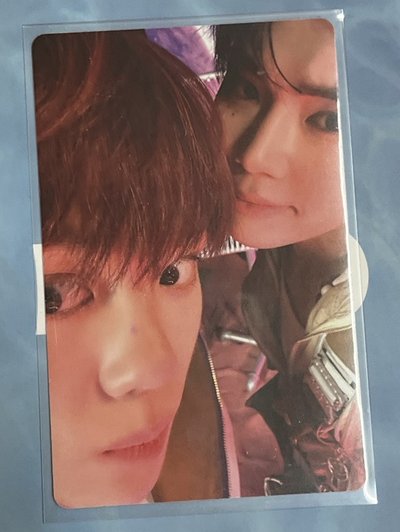 欸～看看這是誰呀