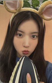 仲夏夜 ms 簽售卡 7.0 倉鼠友