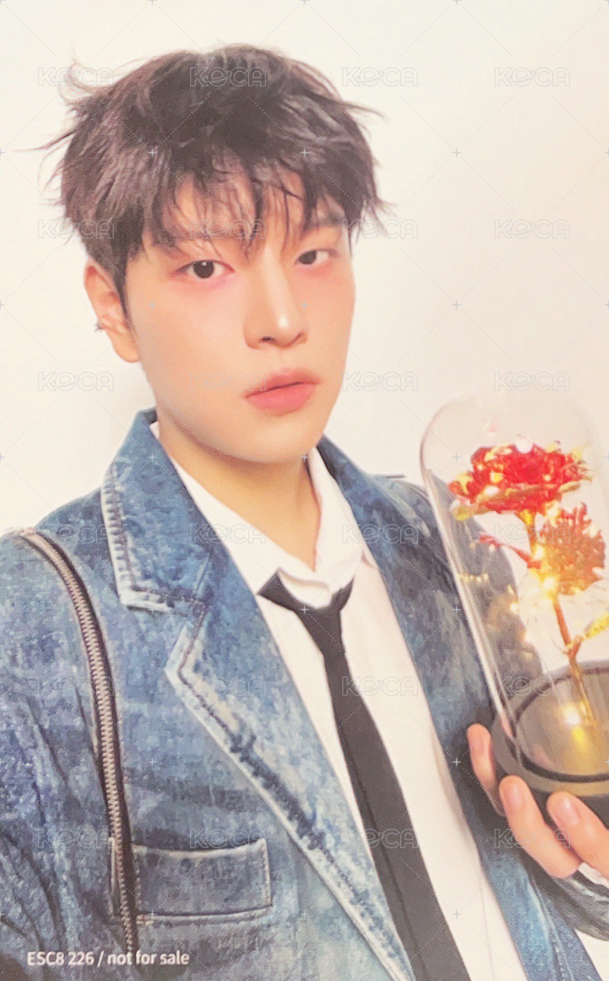 Hollow 專輯卡 FC盤 背面