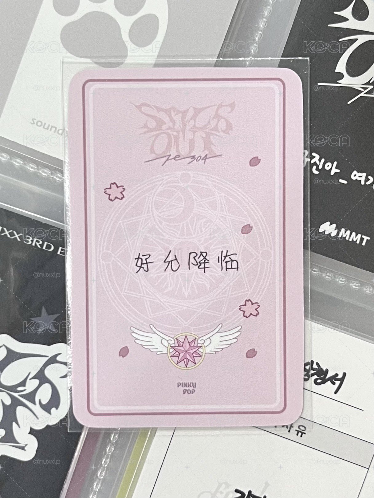 NMIXX 小櫻薛 中背