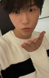 Steady kms 簽售卡 3.0 v3