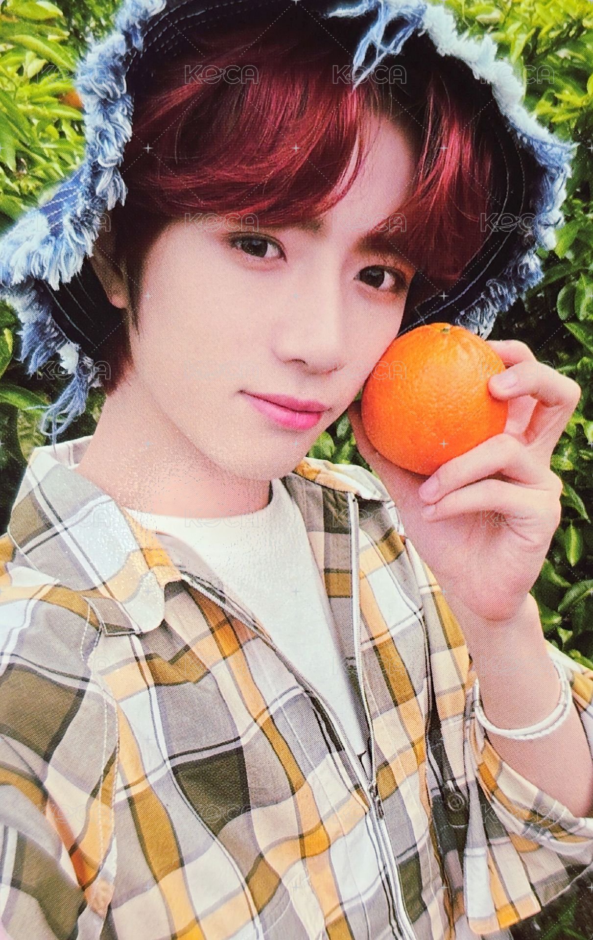 22夏寫 周邊卡 Tangerine farm ver.崔杋圭 正面