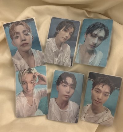 mini12克拉盤 wvsjp