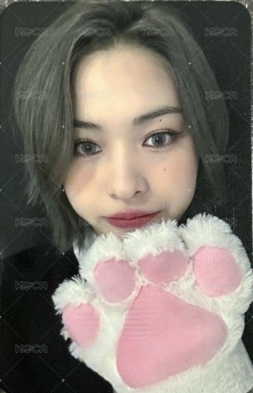 CHESHIRE sw 3.0 簽售卡  正面