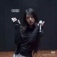捲餅狗