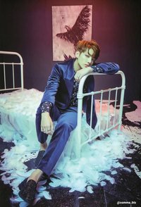 ARMYPEDIA 明信片 WINGS