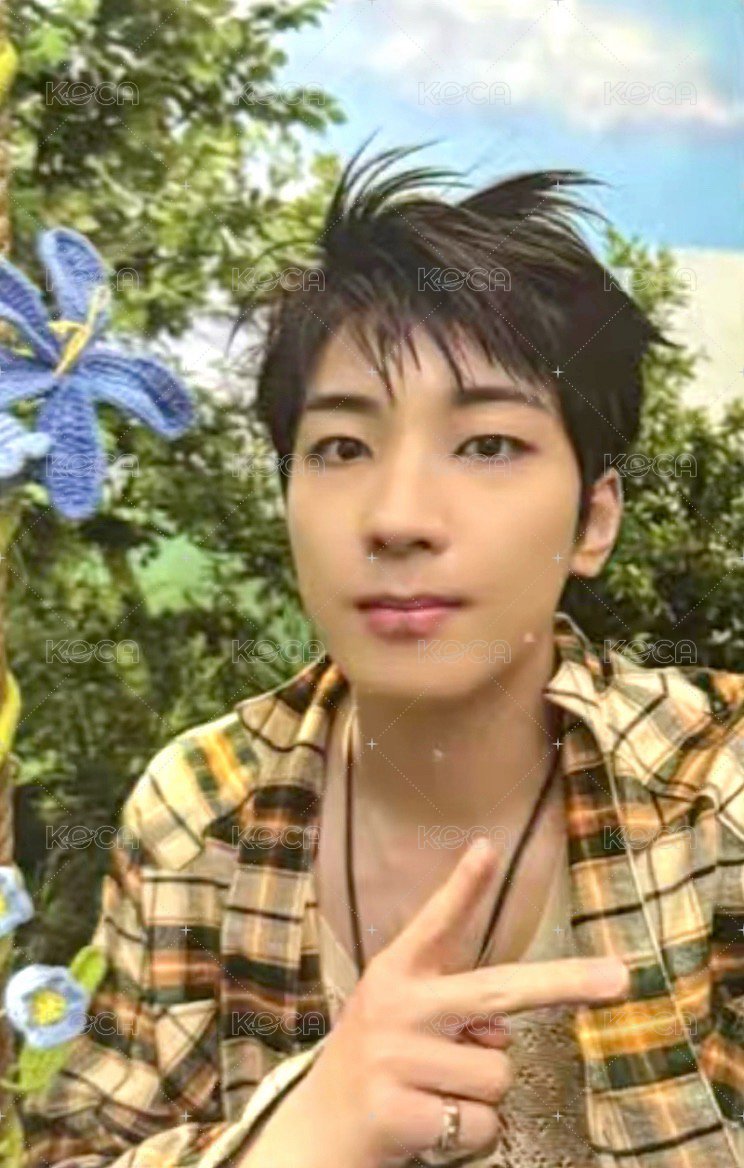 MINI11 專輯卡 ｜WVS電子專ver. 正面