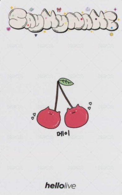 迷一 hl 特典卡 預售 背面