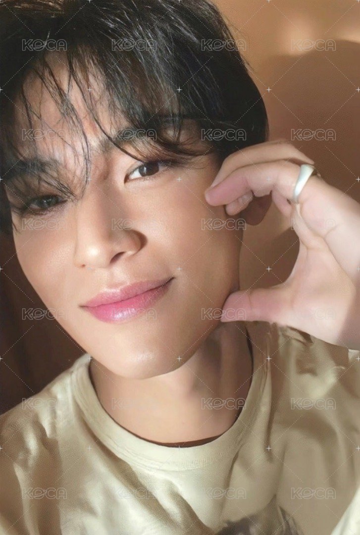 正四 專輯卡 正規四｜CARAT ver. 正面