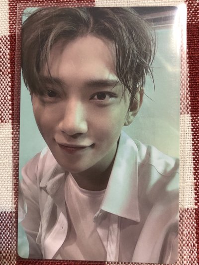 SEVENTEEN mini 12 wvs pb 特典卡